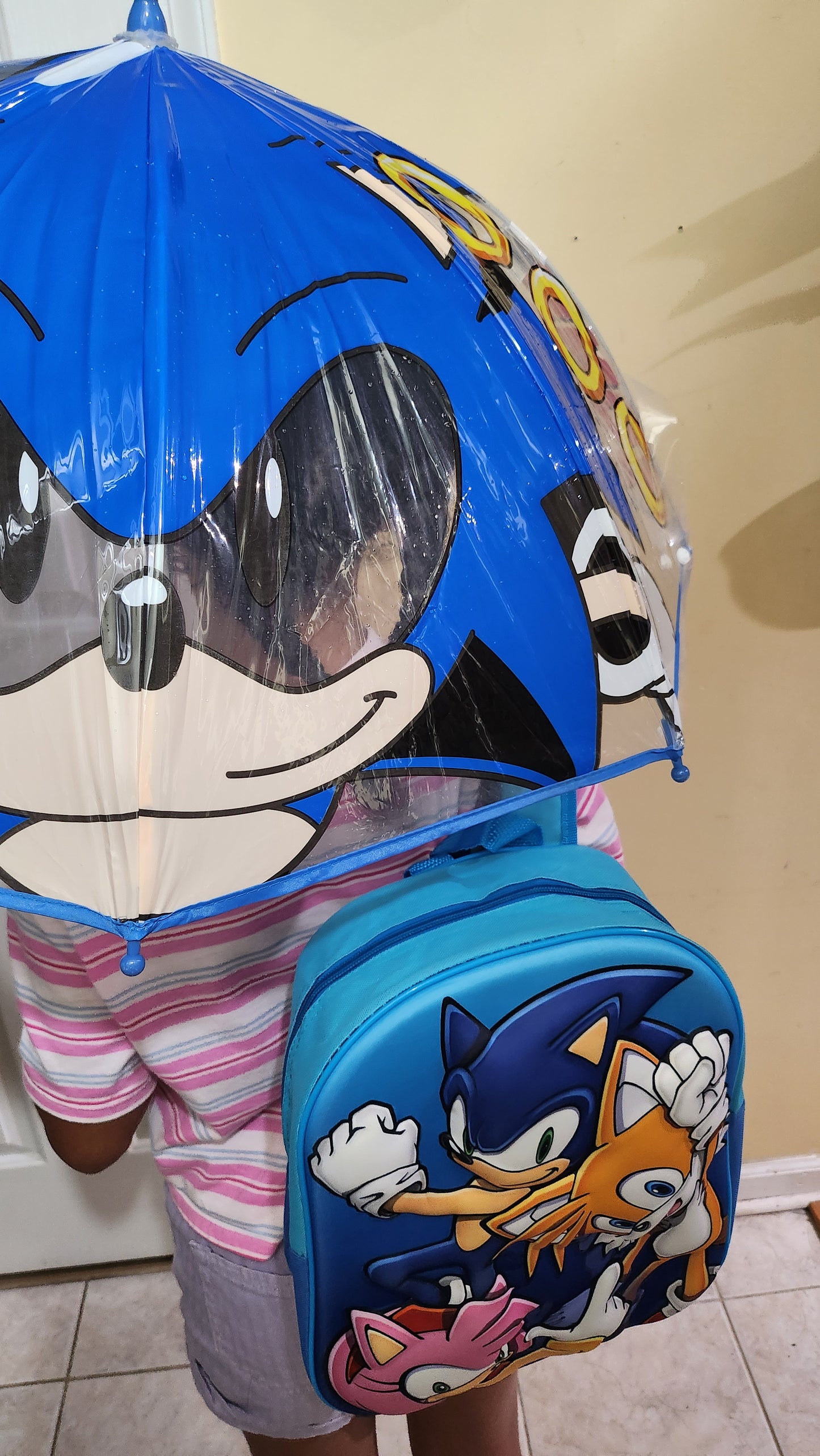 Sonic Umbrella and Backpack Set